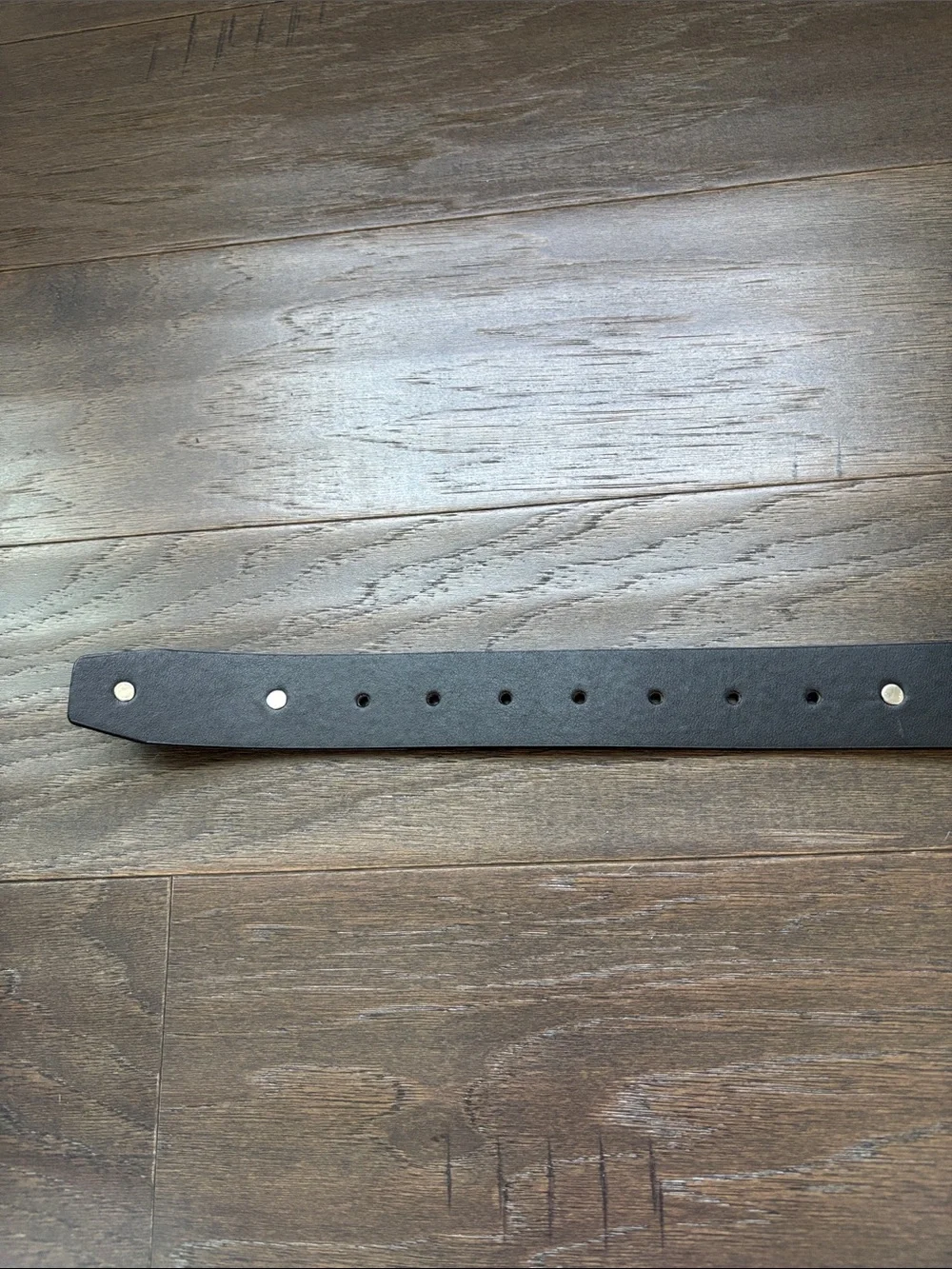 Ed Hardey Manmade Material belt, For The World, X1-04,studs,velvet feel,Tiger